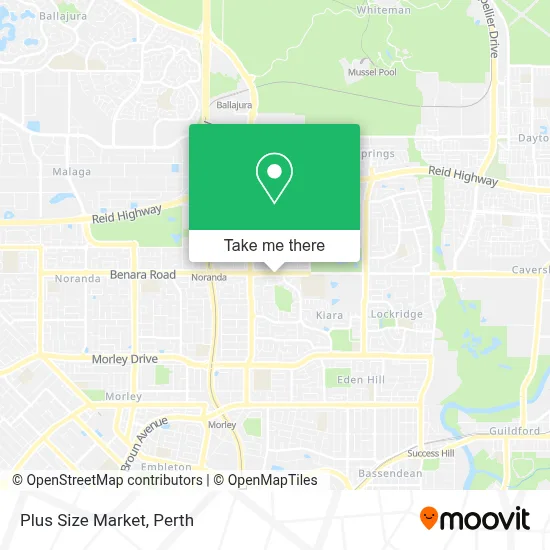 Mapa Plus Size  Market