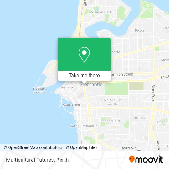 Multicultural Futures map