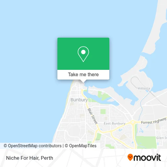 Mapa Niche For Hair