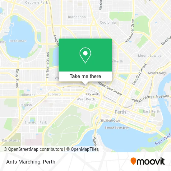 Mapa Ants Marching