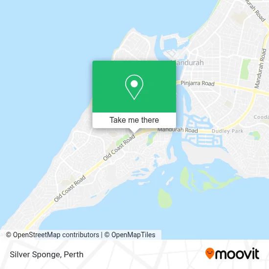 Mapa Silver Sponge