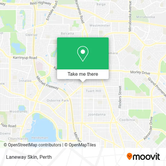 Mapa Laneway Skin