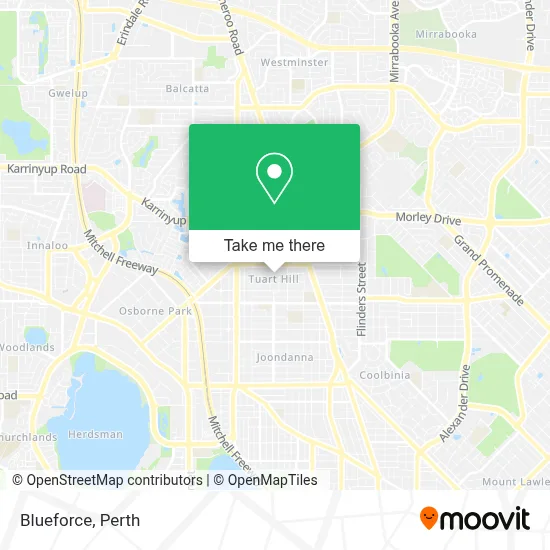 Blueforce map