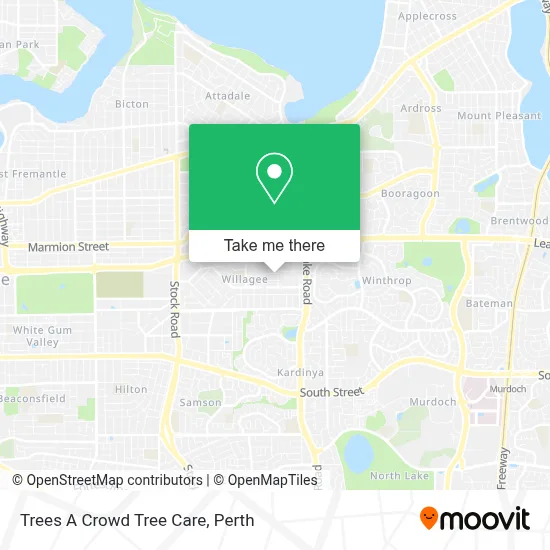Mapa Trees A Crowd Tree Care