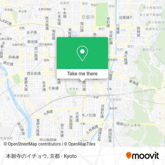 本願寺のイチョウ map