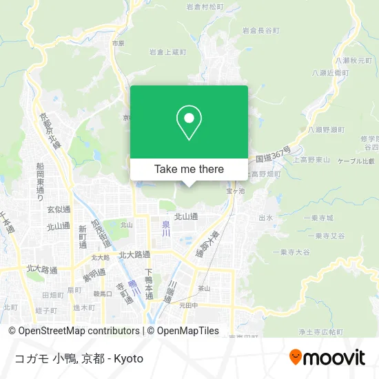 コガモ 小鴨 map