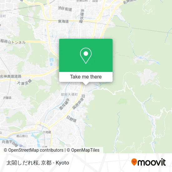 太閤しだれ桜 map