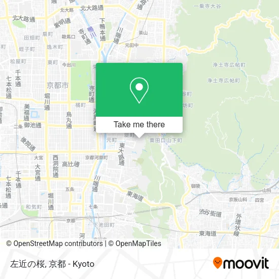 左近の桜 map