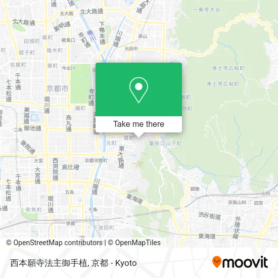 西本願寺法主御手植 map