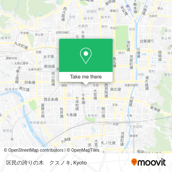 区民の誇りの木　クスノキ map