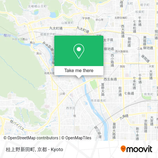 桂上野新田町 map