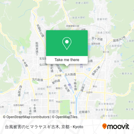 台風被害のヒマラヤスギ古木 map