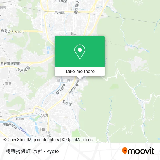 醍醐落保町 map