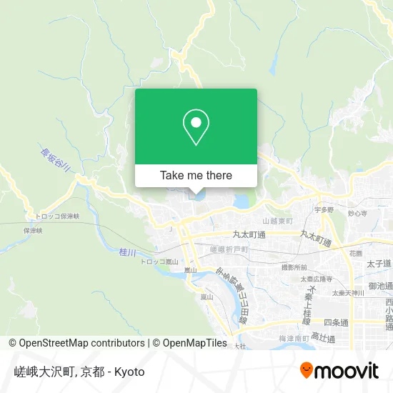 嵯峨大沢町 map