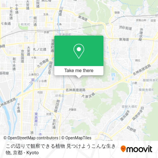 この辺りで観察できる植物 見つけようこんな生き物 map