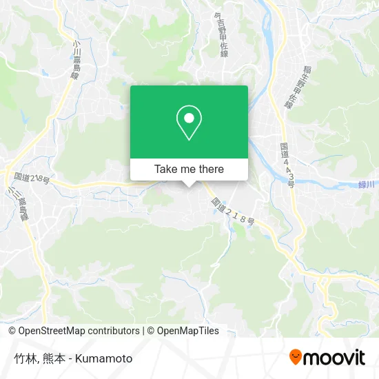 竹林 map