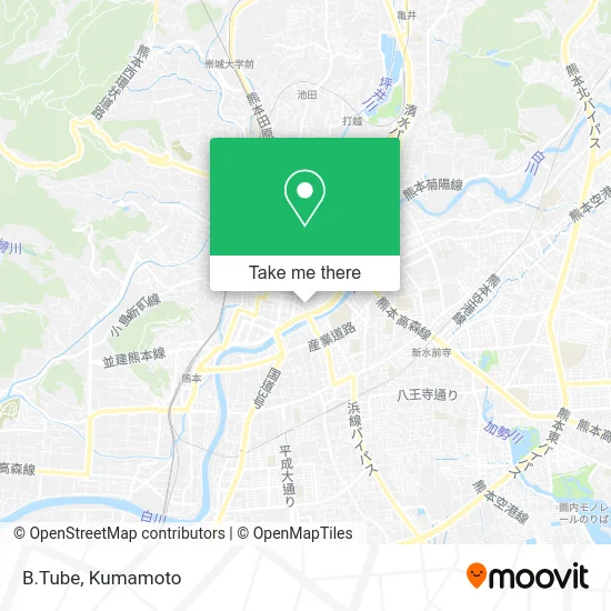 B.Tube map