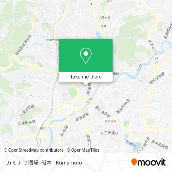 カミナリ酒場 map