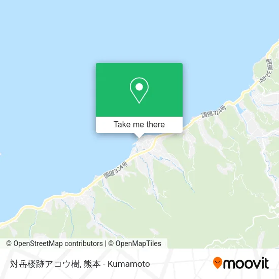 対岳楼跡アコウ樹 map