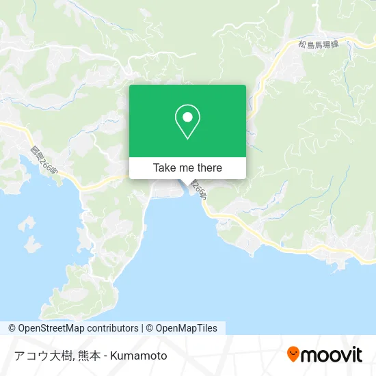 アコウ大樹 map