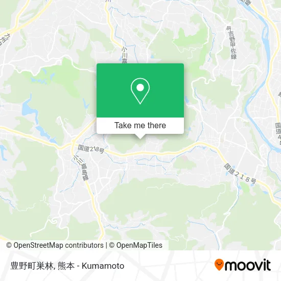 豊野町巣林 map