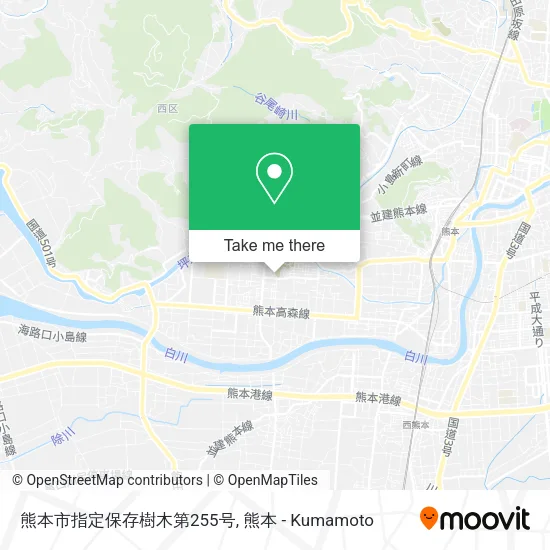 熊本市指定保存樹木第255号 map
