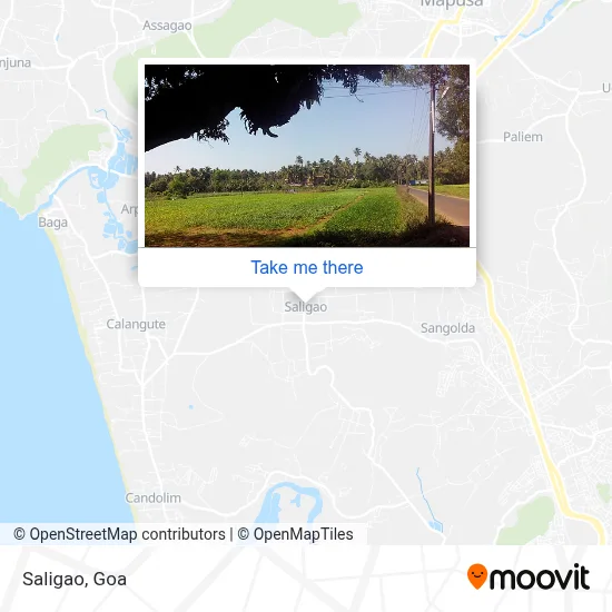 Saligao map