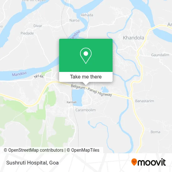 Sushruti Hospital map