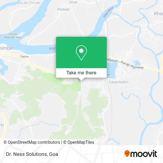 Dr. Ness Solutions map