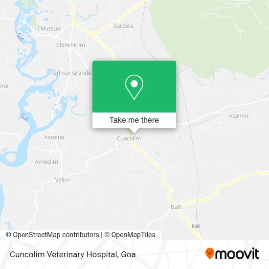 Cuncolim Veterinary Hospital map