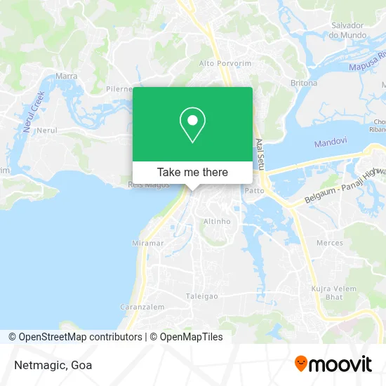 Netmagic map