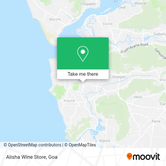 Alisha Wine Store map