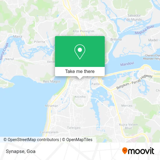 Synapse map