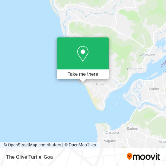 The Olive Turtle map