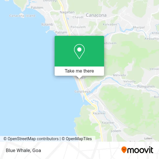 Blue Whale map