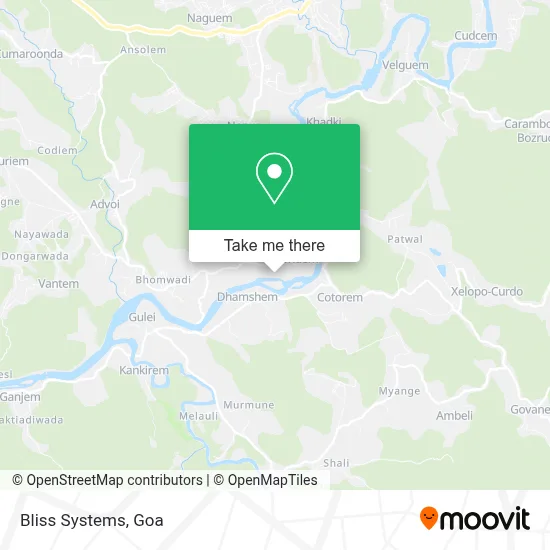 Bliss Systems map