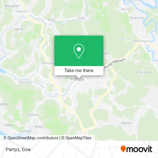 Partyz map