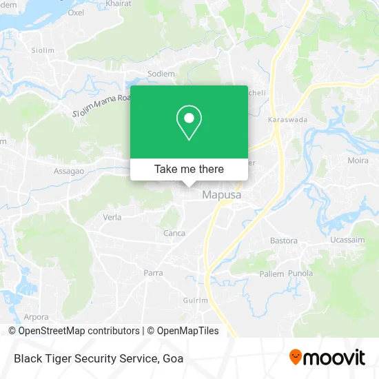 Black Tiger Security Service map