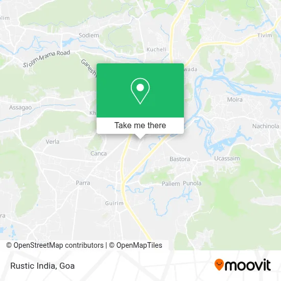 Rustic India map