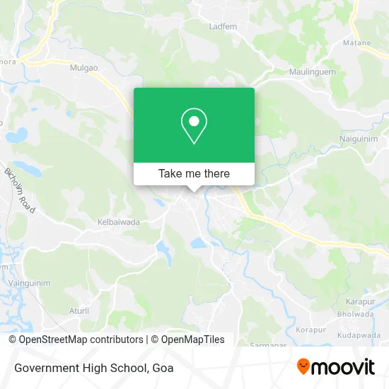 Government High School map