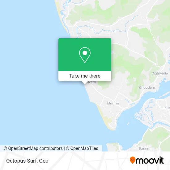 Octopus Surf map
