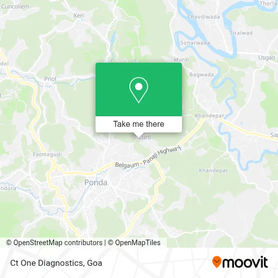 Ct One Diagnostics map