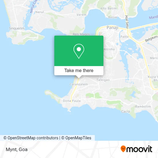 Mynt map