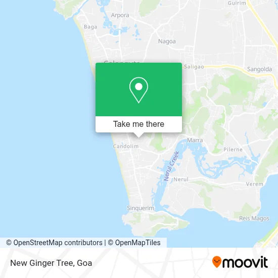 New Ginger Tree map
