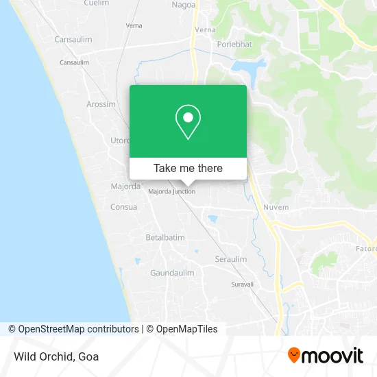 Wild Orchid map