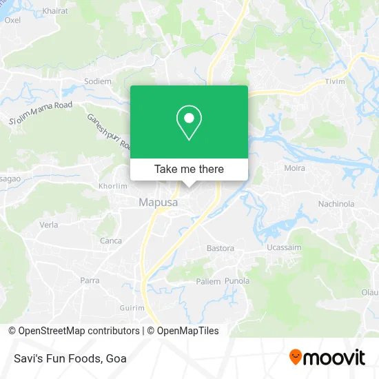 Savi's Fun Foods map