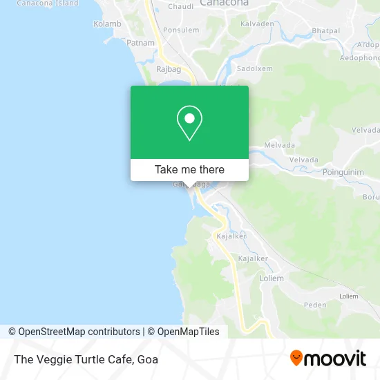 The Veggie Turtle Cafe map