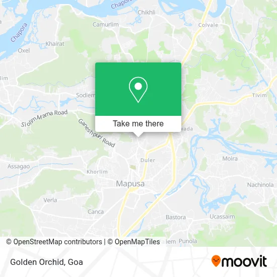 Golden Orchid map