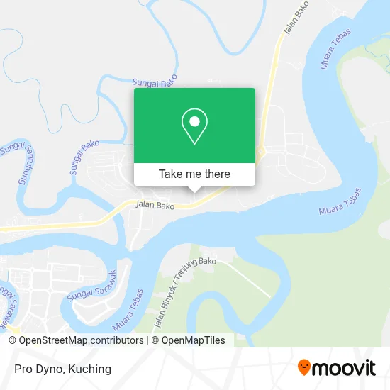Pro Dyno map