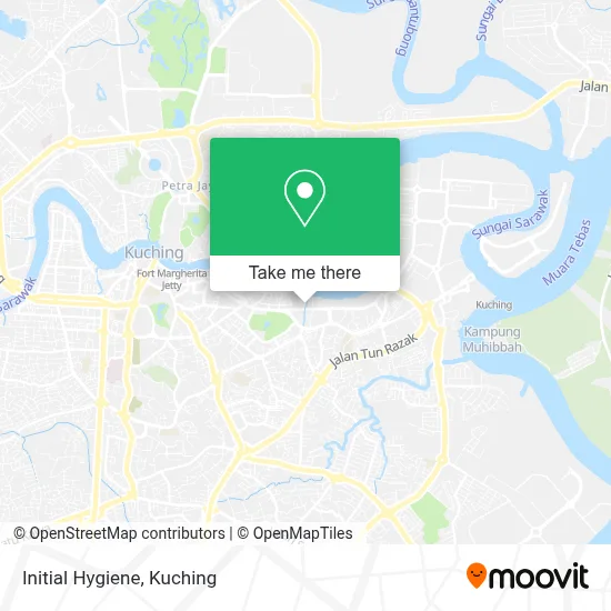Initial Hygiene map